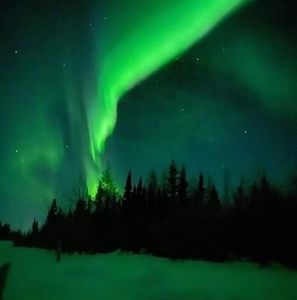 Meet your Posher, Andriy